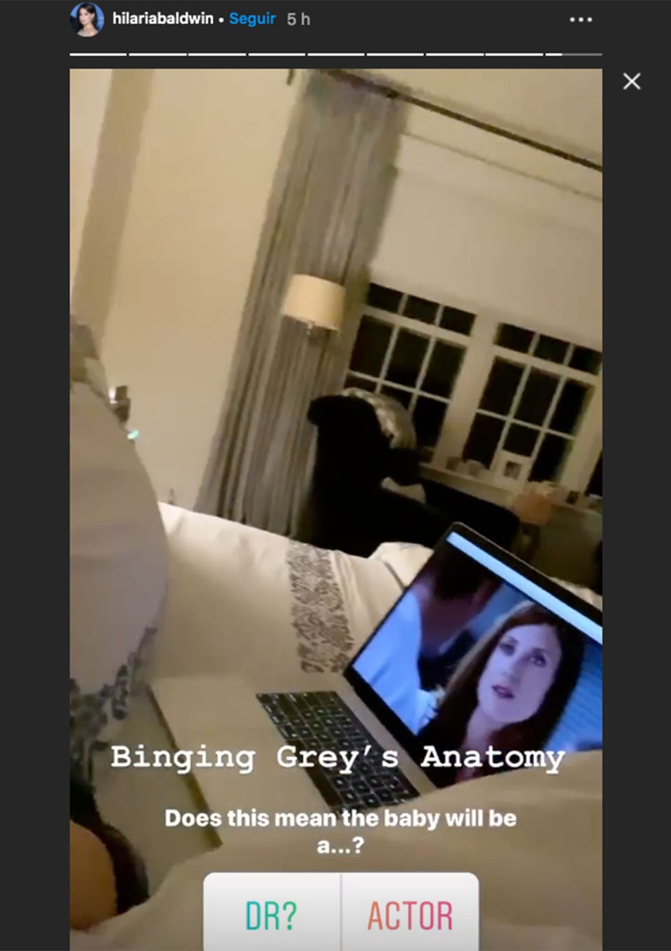 Hilaria Baldwin, embarazada de su quinto hijo
