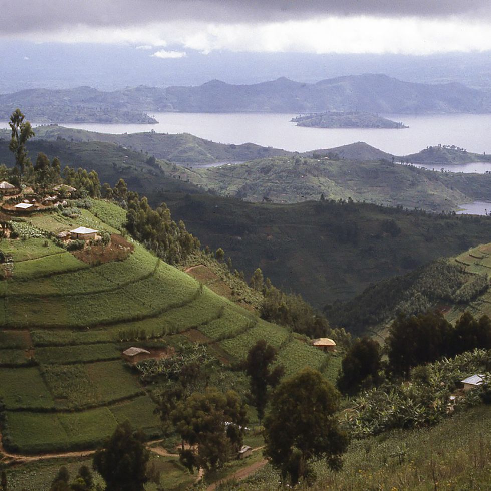 hilltop village overlooking lake ruhondo central highlands rwanda africa