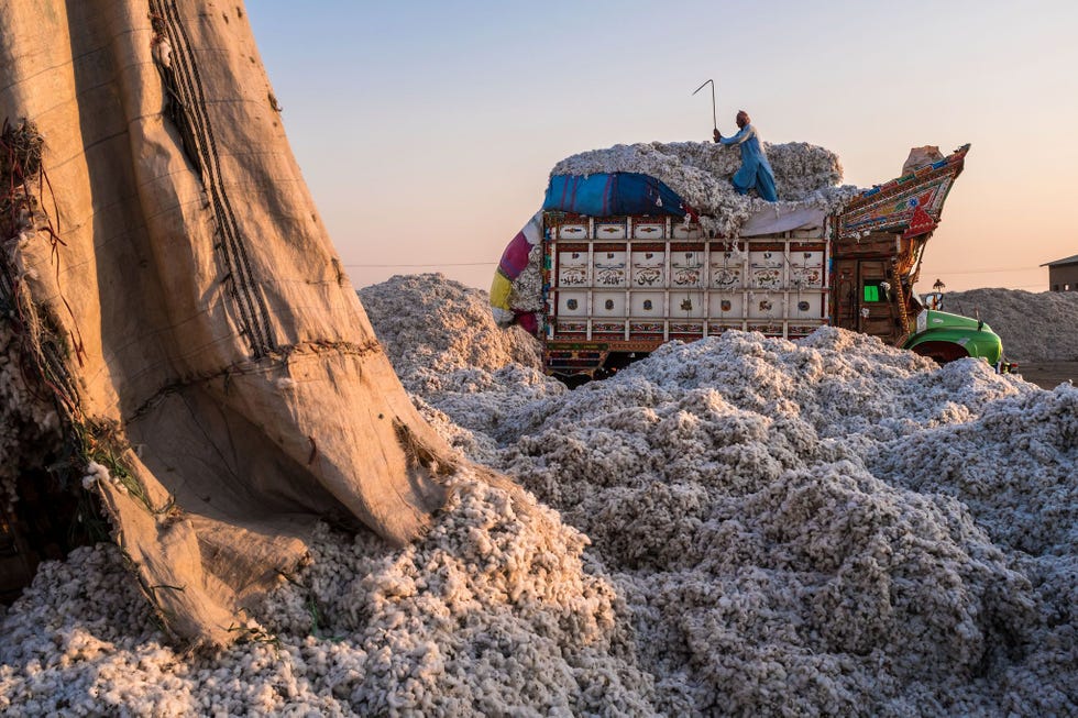 PakistanEen vrachtwagen levert katoen af bijeen textielfabriek in Sindh De textielindustrie is goed voor acht procent van Pakistans bbp en voor ruim de helft van zijn inkomsten uit het buitenland Katoen is een waterintensief gewas en het extreme weerpatroon van de laatste jaren heeft geresulteerd in slechte oogsten