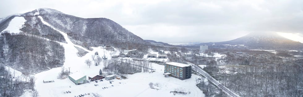 建物や木々のある雪景色