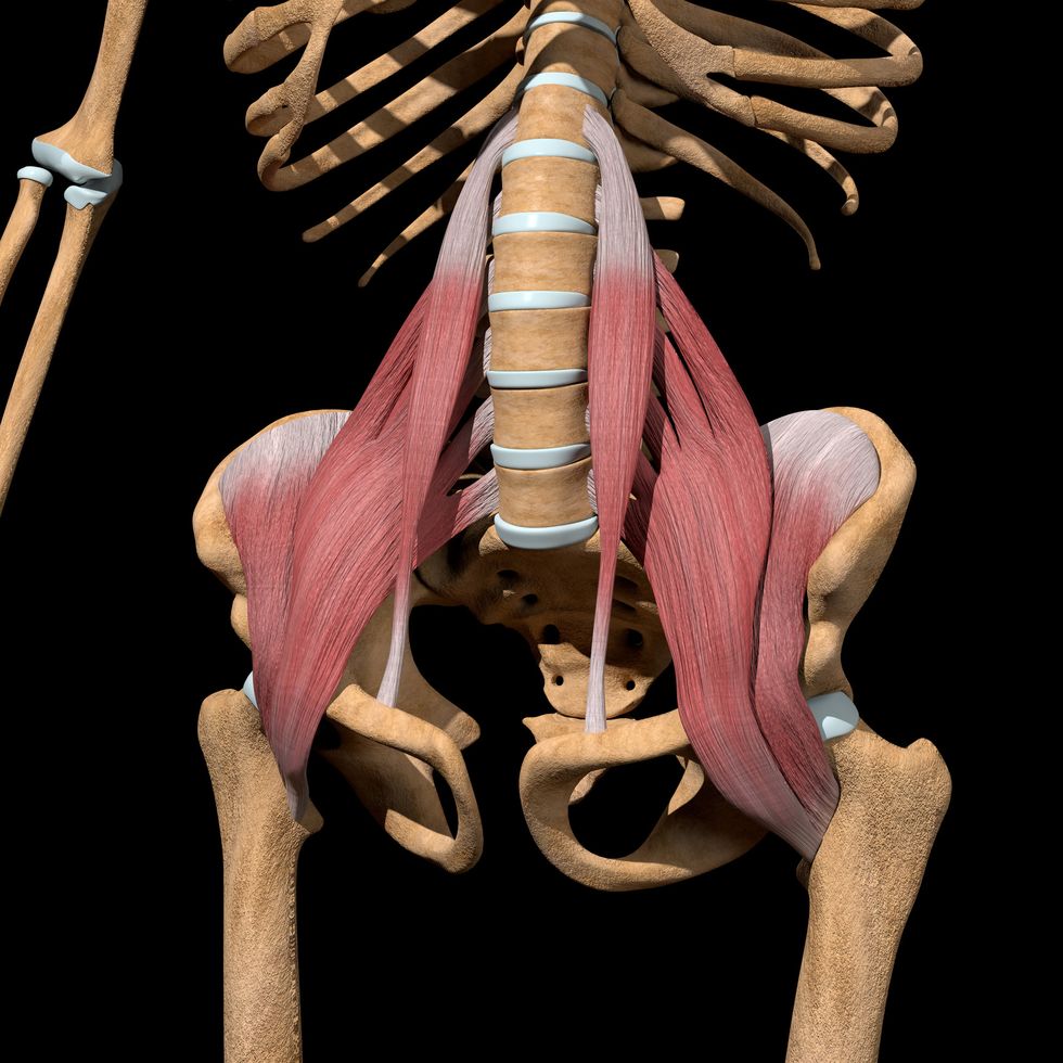 Hip flexor strain: Everything you need to know