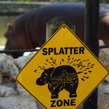 waarschuwingsbord voor spetterende nijlpaardpoep