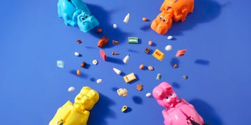 wild world of protein foods