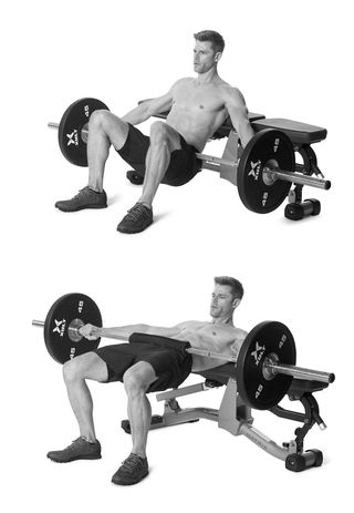 Weights, Exercise equipment, Physical fitness, Barbell, Weight training, Free weight bar, Weightlifting, Bench, Arm, Exercise, 