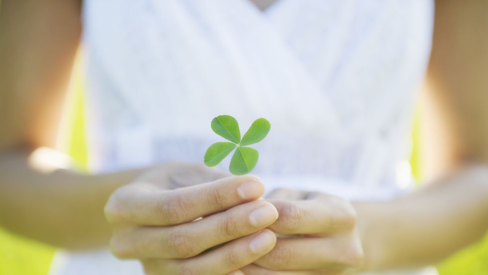 Why Are Four-Leaf Clovers Considered Lucky?