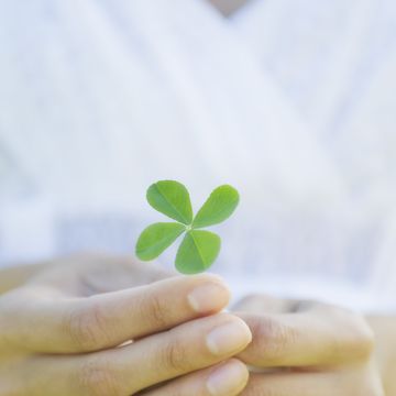 20 st. patrick's day superstitions clover