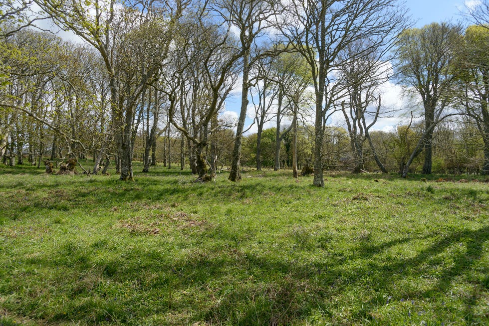 historic 15th century castle for sale for £650k