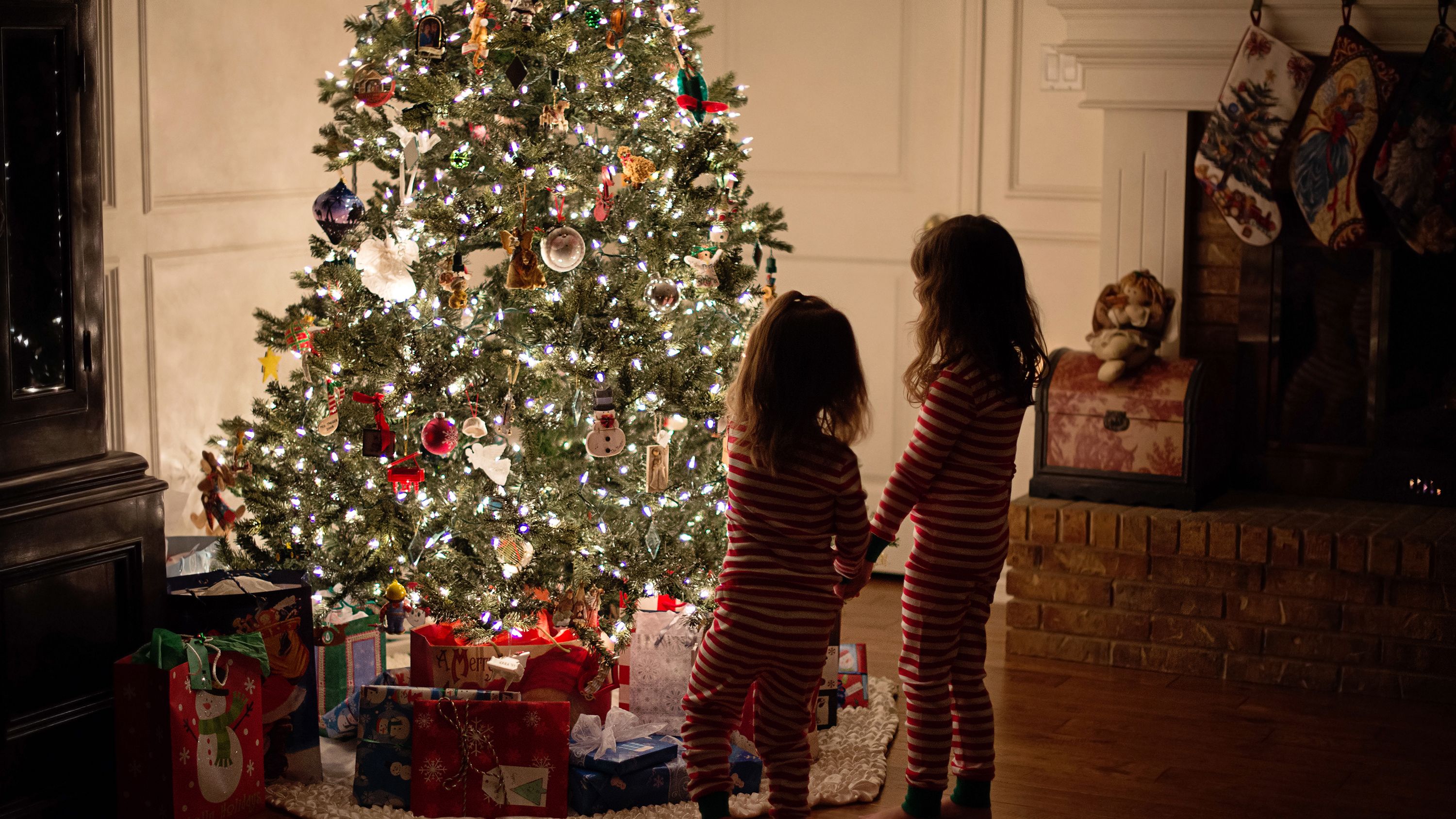 The true origin of the Christmas tree: A festive history