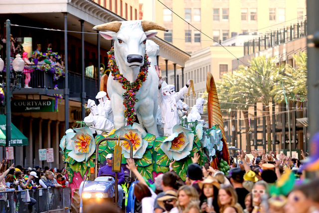 history of mardi gras in united states