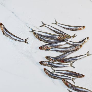anchovies health benefits