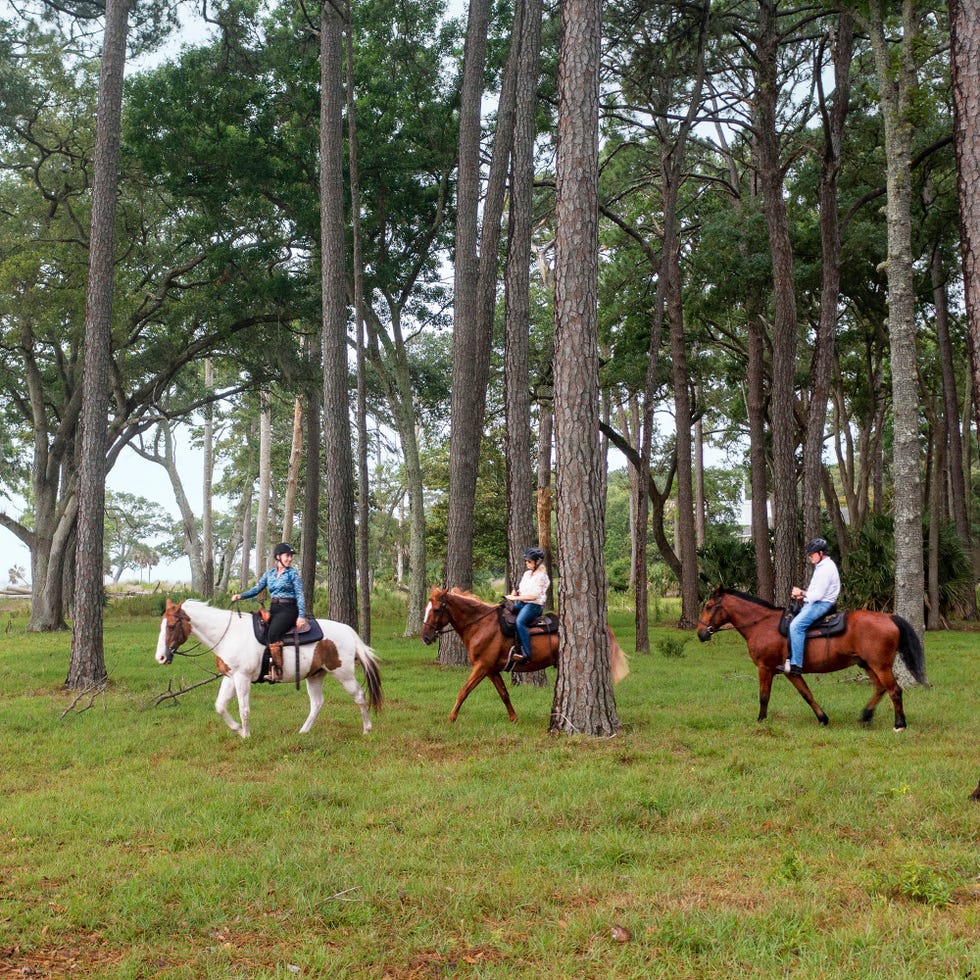 daufuskie trail rides