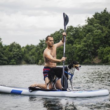 man enjoying a day of paddleboarding on a river with his dog