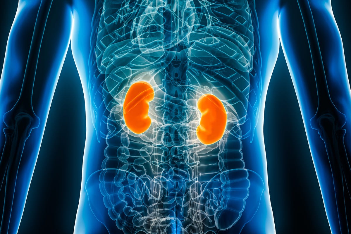 What is good and bad for your kidneys protein water habits