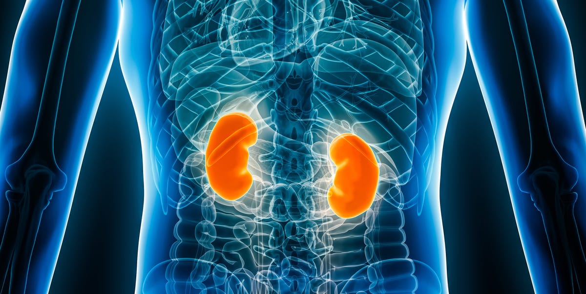 What Is Good And Bad For Your Kidneys Protein Water Habits What Is Good And Bad For Your Kidneys Protein Water Habits