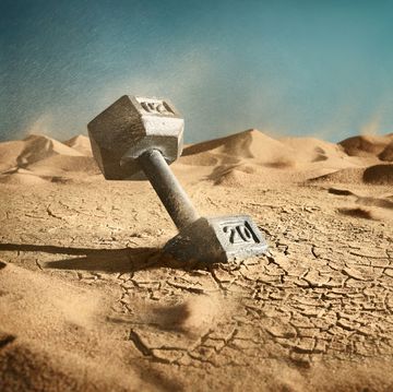 a dumbbbell sitting in a desert, an illustration that gives the feel of the fitness desert