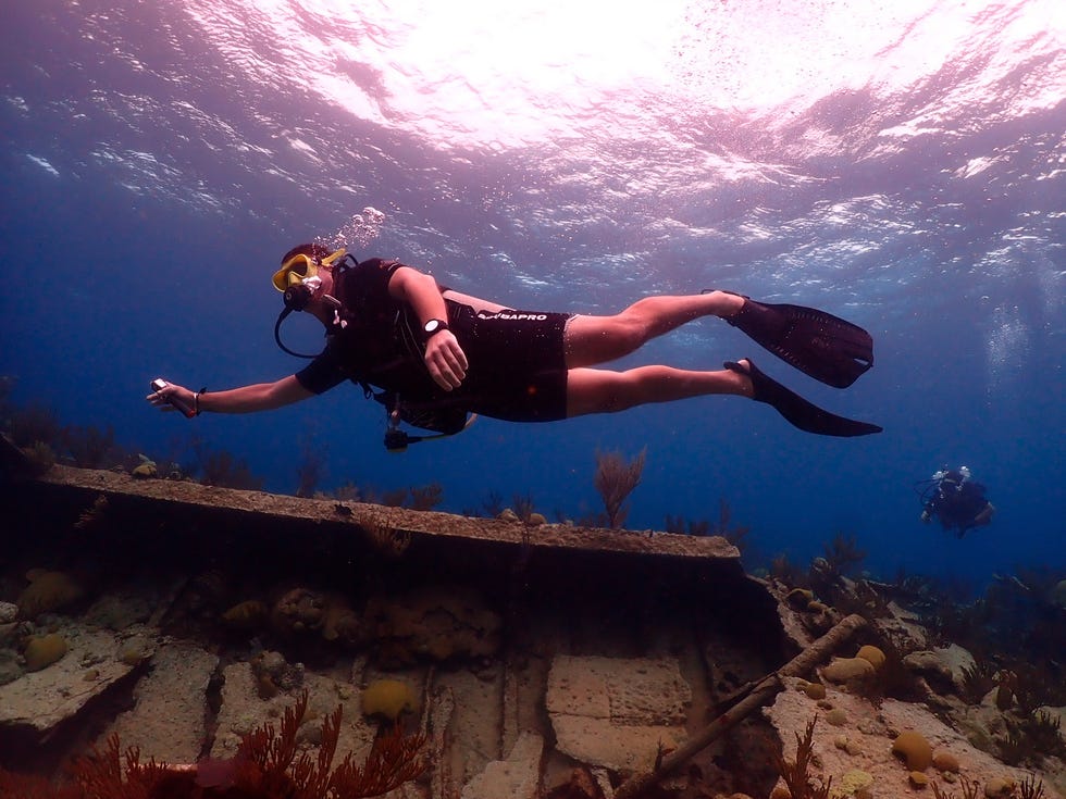 blue water divers