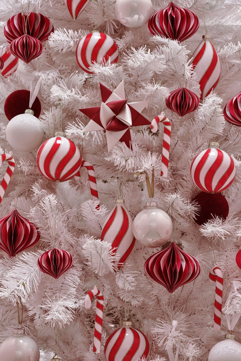 what-your-christmas-tree-theme-reveals-about-your-personality