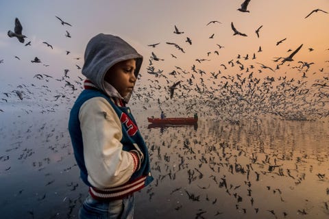 Ik legde dit gelaagde moment vast tijdens zonsopgang aan de oever van de rivier de Yamuna in Delhi India Dit jongetje stond stilletjes voor zich uit te staren terwijl bezoekers genoten van het luide en muzikale gekrijs van duizenden zeemeeuwen Het gouden licht van de ochtendzon vanuit het oosten mengde zich met het blauwe licht vanuit het westen waardoor er een etherische sfeer heerste Ik bezoek dit gebied geregeld en heb deze plek de afgelopen drie jaar steeds weer gefotografeerd Nu beginnen veel nationale en internationale fotografen deze plek eveneens te ontdekken