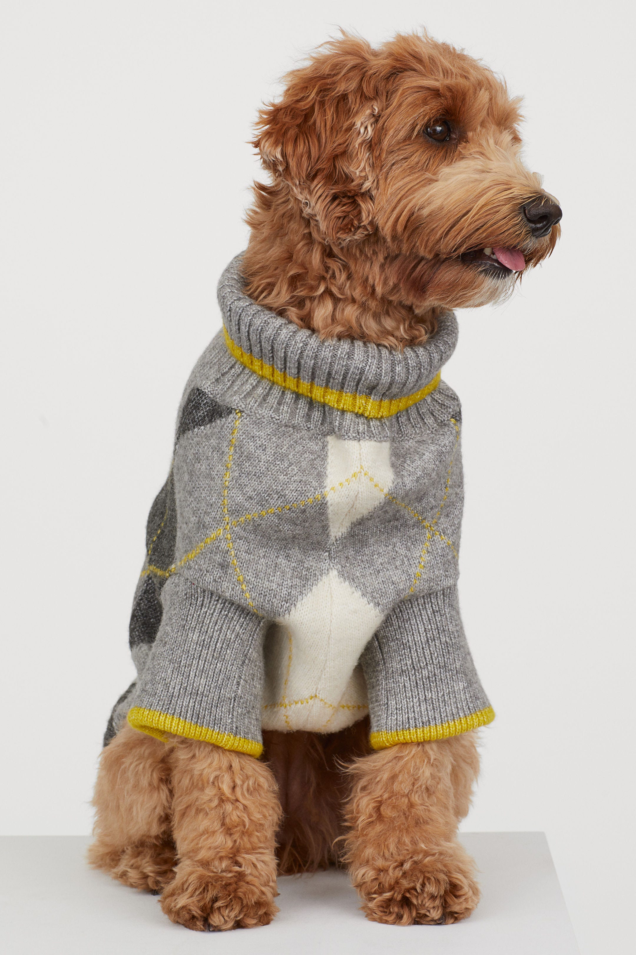 Pringle of Scotland x H&M