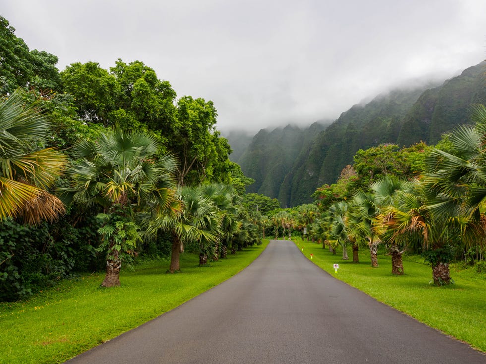 hoʻomaluhia botanical garden in oahu, hawaii