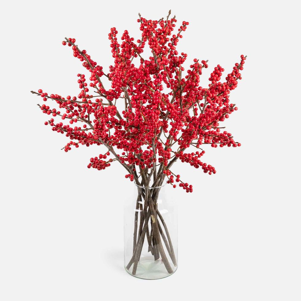 Tree, Red, Flower, Plant, Branch, Twig, Cut flowers, Leaf, Woody plant, Artificial flower, 