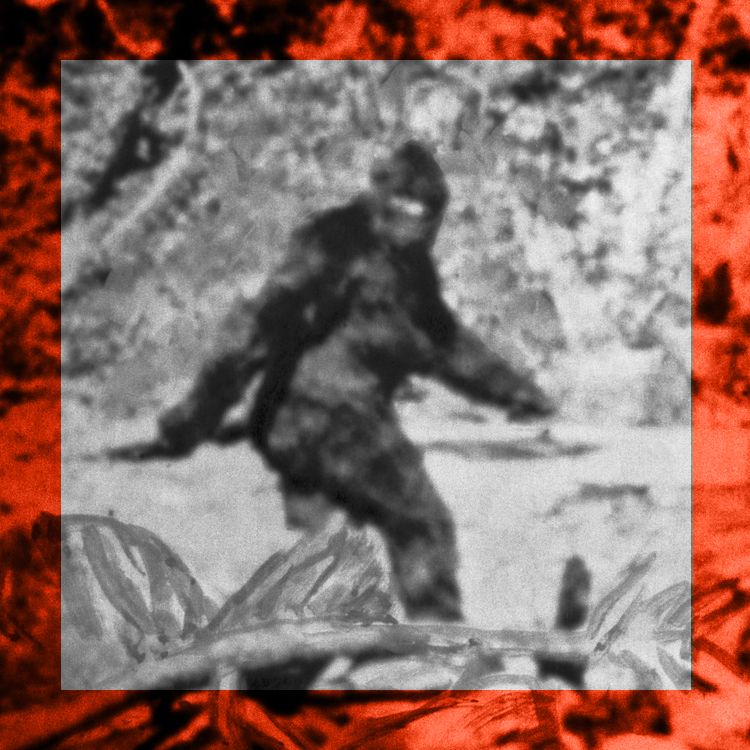 Is Bigfoot Real? A History of Bigfoot Searches and Sightings