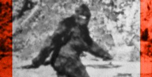 hoax  alleged photo of bigfoot