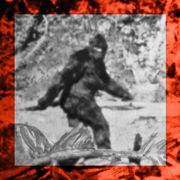hoax   alleged photo of bigfoot, is bigfoot real