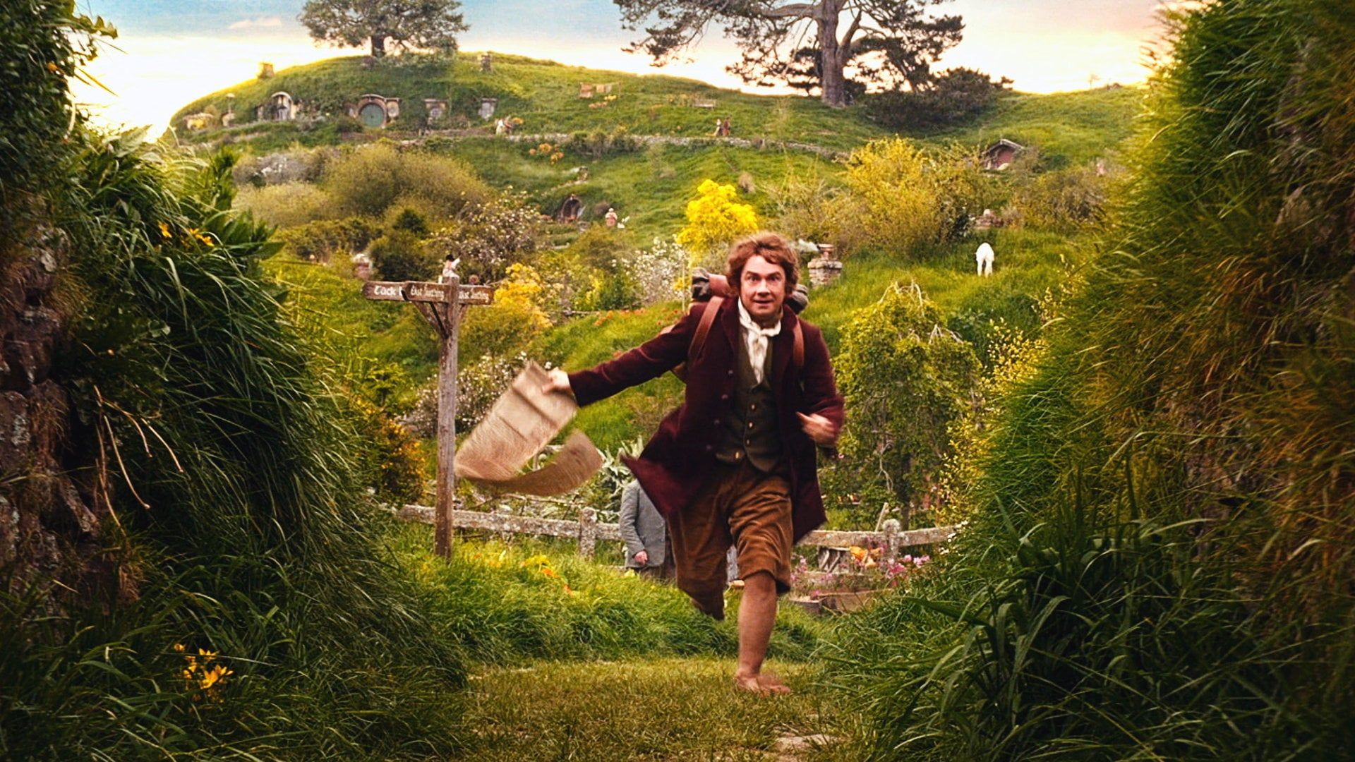 How to Watch All The Lord of the Rings Movies In Order - Where to Stream  The Lord of the Rings and Hobbit Movies