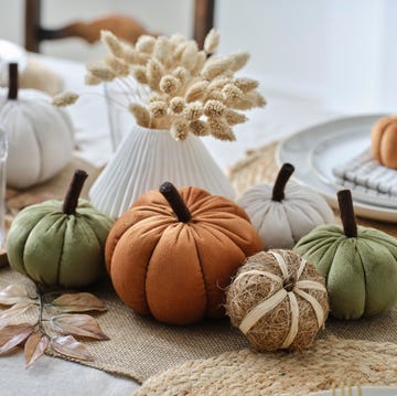 hobbycraft's plush pumpkins are back