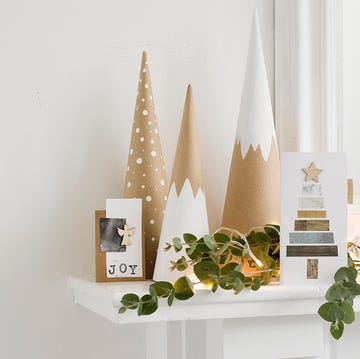 White, Shelf, Houseplant, Room, Interior design, Plant, Architecture, Home, Flower, Shelving, White, Shelf, Houseplant, Room, Interior design, Plant, Architecture, Home, Flower, Shelving,