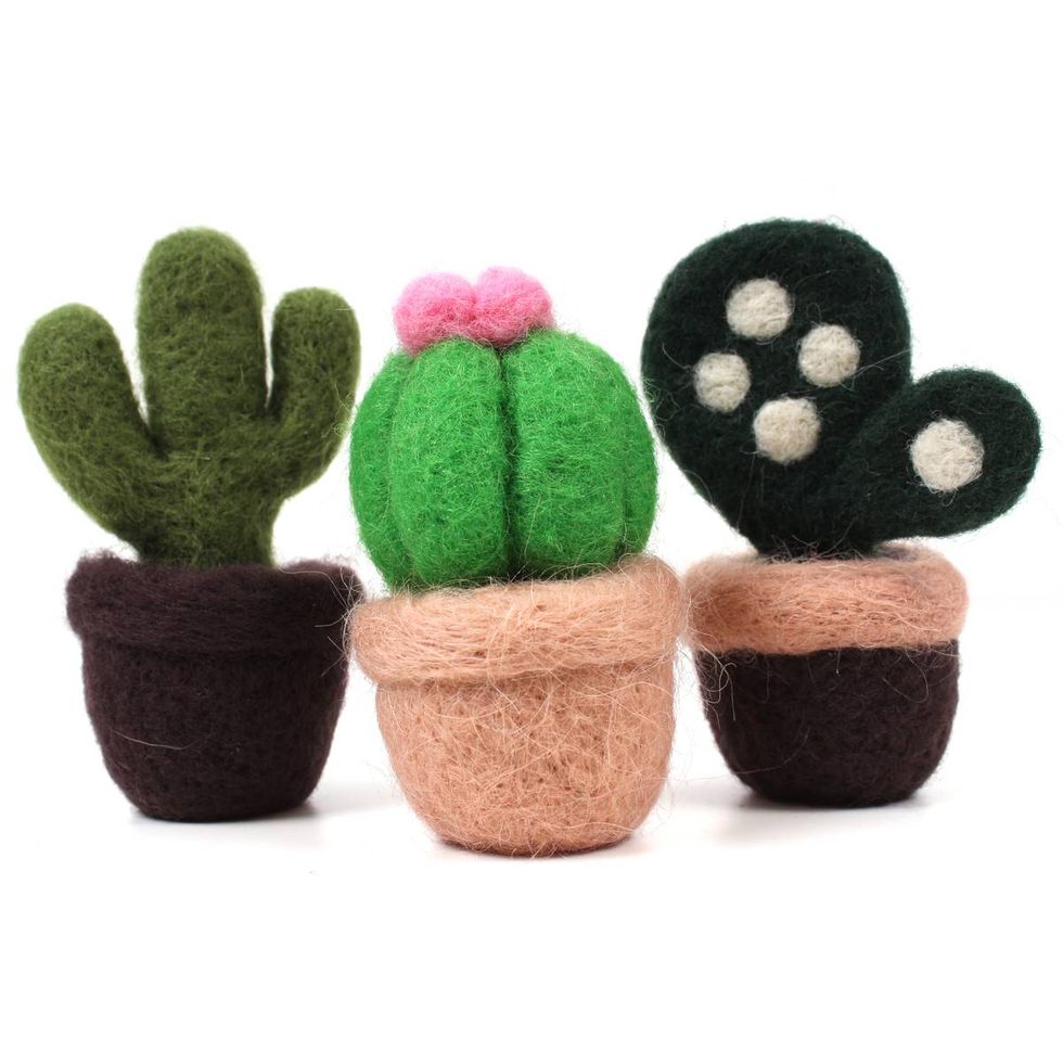 Hobbycraft cactus felting kit