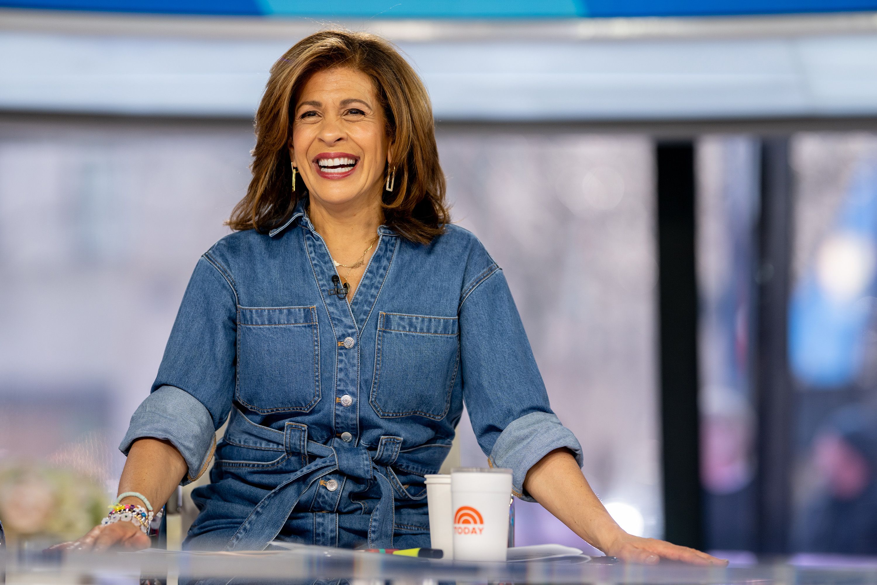 Hoda Kotb: Biography, TV Personality, 'Today' Show Co-Host