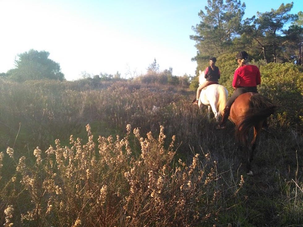 Femke en Bo op tocht met de paarden