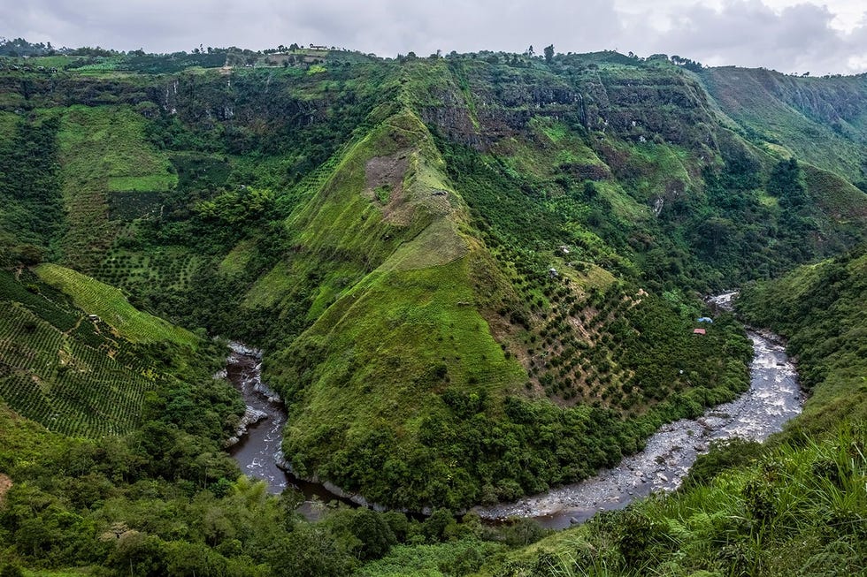 De machtige Magdalena stroomt door de groene heuvels van Huila Colombia vormt een lappendeken van verschillende ecosystemen Maar ontbossing winning van delfstoffen en energieprojecten vormen een bedreiging voor het natuurschoon