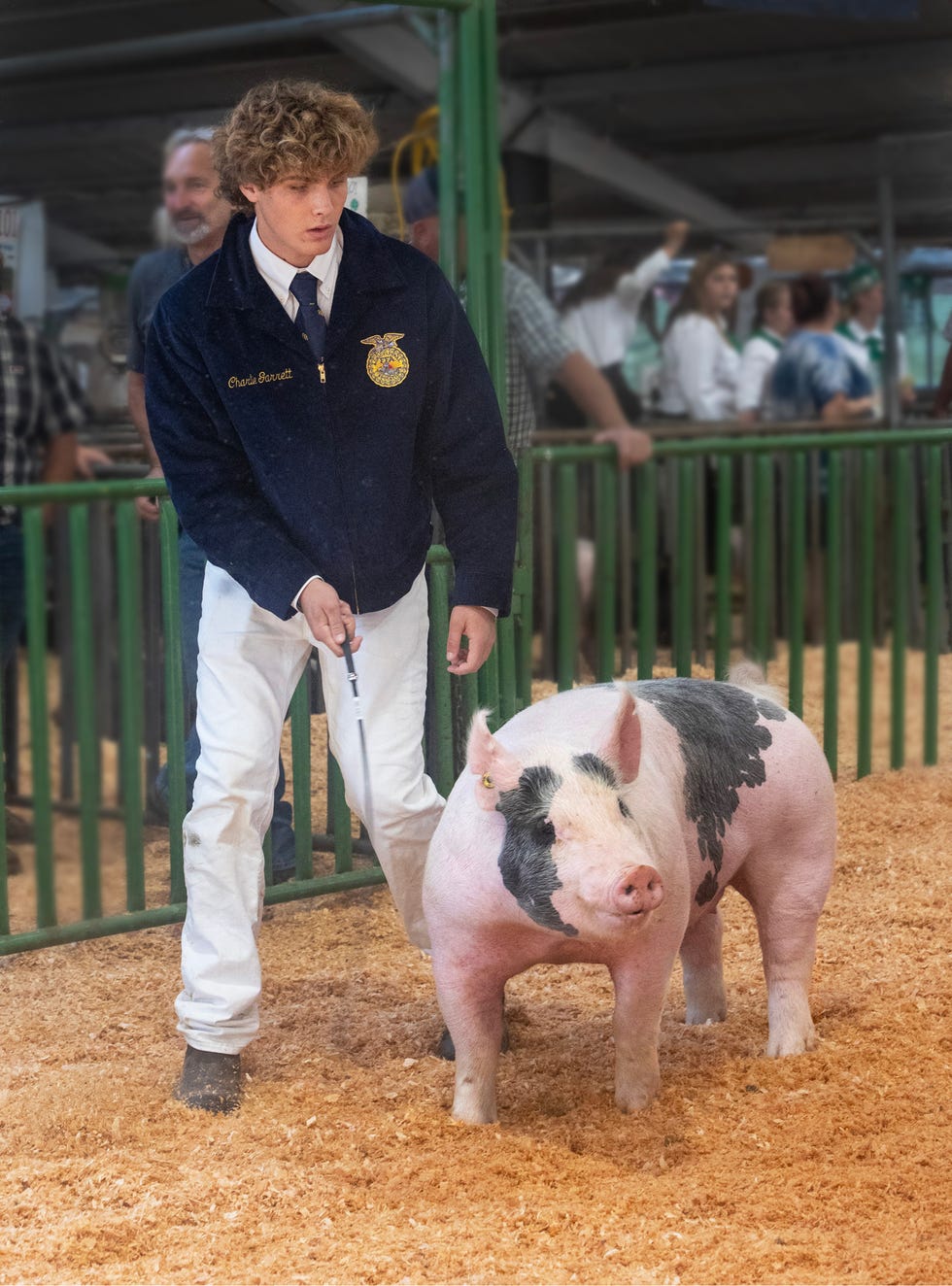 charlie garrett, high school student, hogs, napa county, hog show