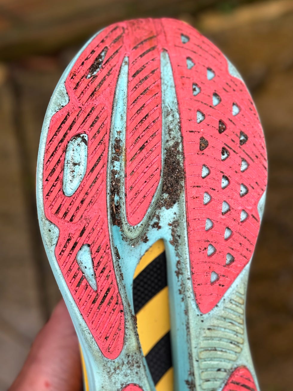 Hoka Skyward X Review: Tried and tested