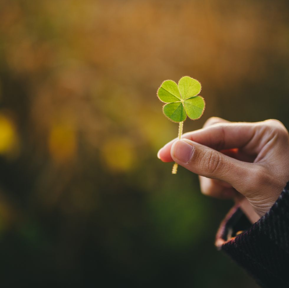 20 st. patrick's day superstitions finding four leaf clovers