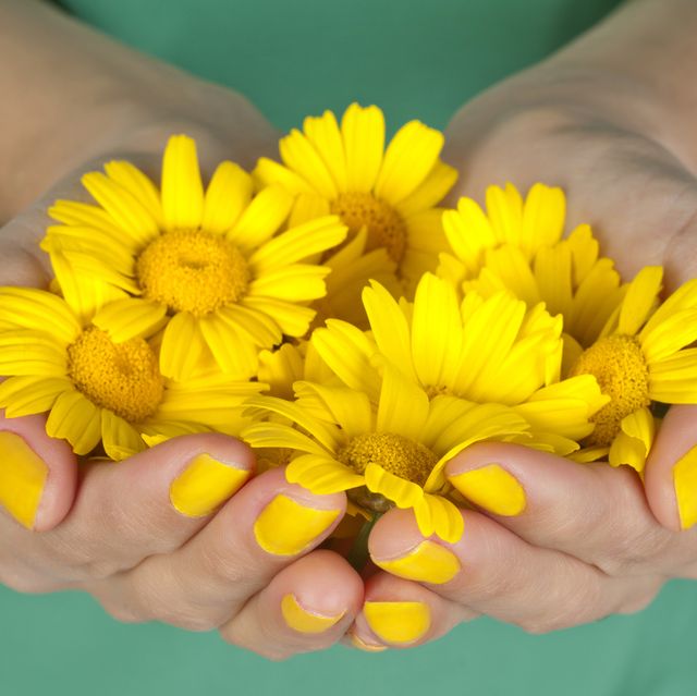 holding daisies