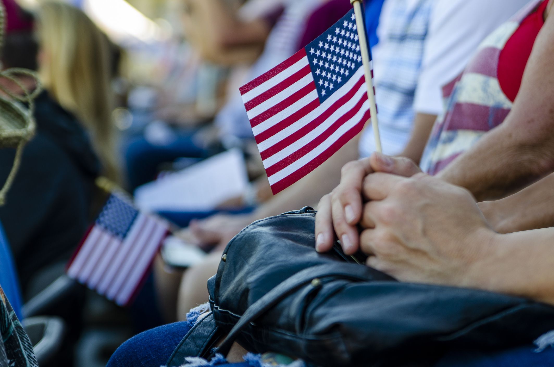 Why the Poppy is a Symbol of Memorial Day? - SnapBlooms Blogs