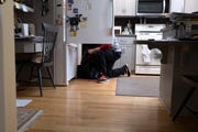 cleaning out the refrigerator before the holidays