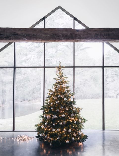 Christmas tree, Tree, Christmas decoration, Christmas, Branch, Architecture, Home, Woody plant, Colorado spruce, Evergreen, 