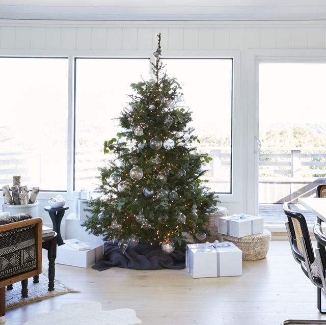White, Room, Christmas tree, Living room, Tree, Home, Property, Furniture, Christmas decoration, Interior design, 