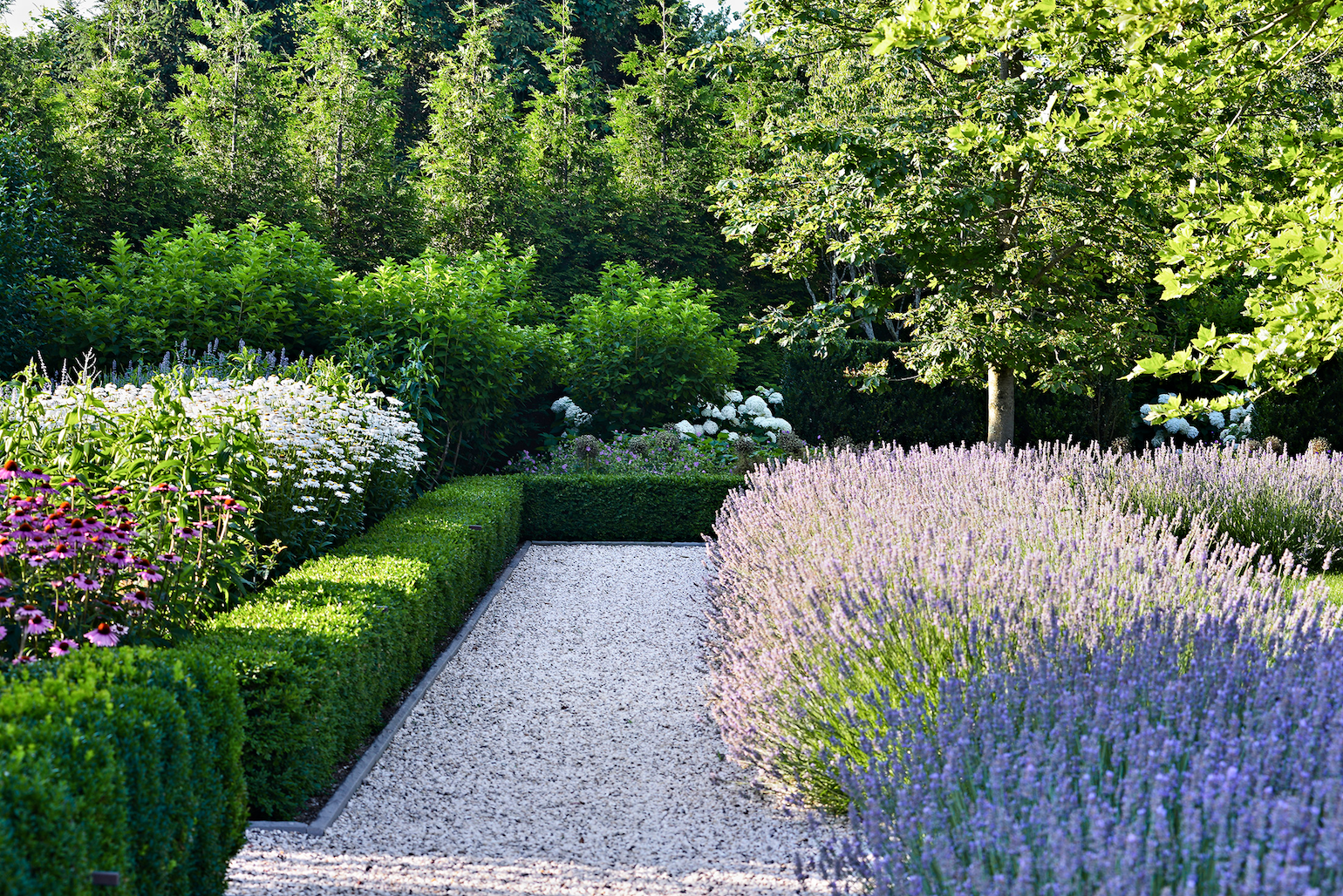 Five Plants for a Dry Coastal Border