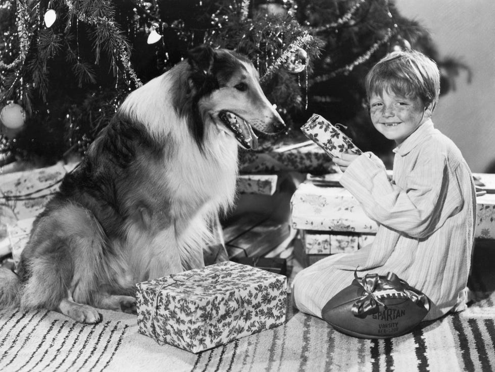 butch jenkins and lassie at christmas