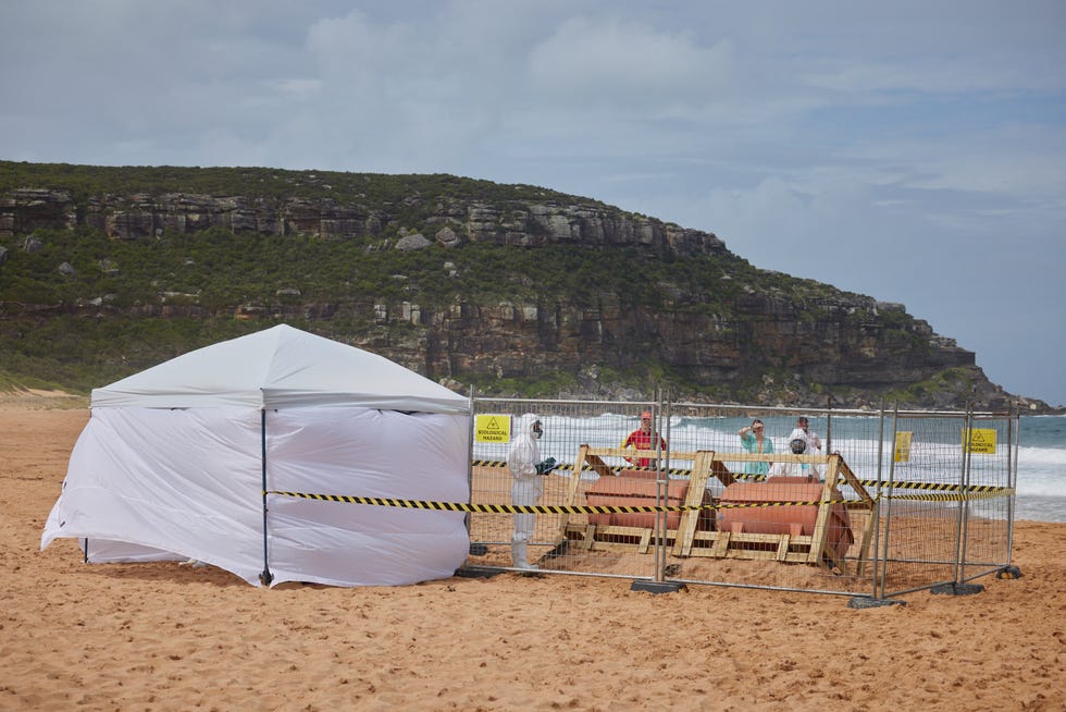 biohazard scientists on the beach in home and away