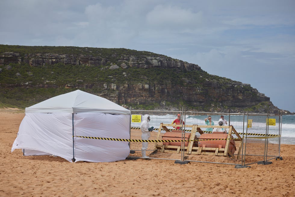 Biohazard scientists on the beach in Home and Away biohazard scientists on the beach in home and away