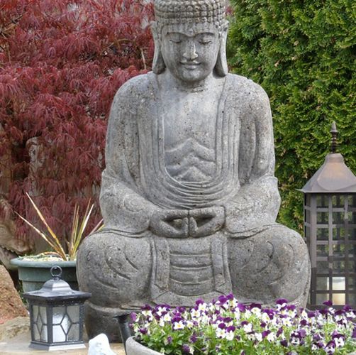 5 plantas para decorar un jardín zen