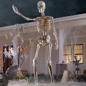 home accents holiday 12 foot skeleton from the home depot