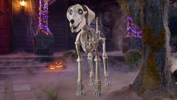 home depot 7 foot skeleton dog